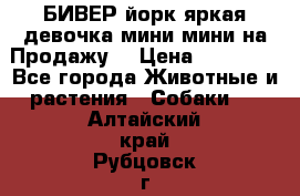 БИВЕР йорк яркая девочка мини мини на Продажу! › Цена ­ 45 000 - Все города Животные и растения » Собаки   . Алтайский край,Рубцовск г.